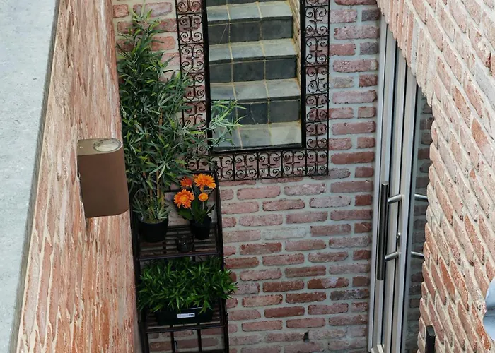 Le Cocoon Du Curnolo